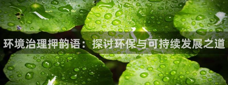 百家乐凯发k8：环境治理押韵语：探讨环保