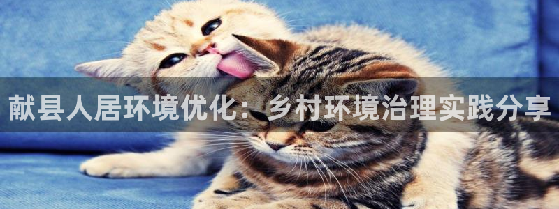 凯发k8一触即发：献县人居环境优化：乡村环境治理实践分享