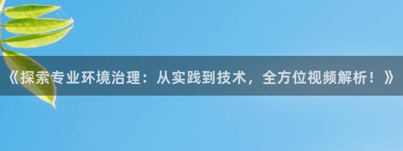 凯发网娱乐官网登录：《探索专业环境治理：从实践到技术，全方位视频解析！》