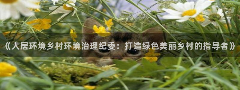凯发k8官方旗舰店app：《人居环境乡村