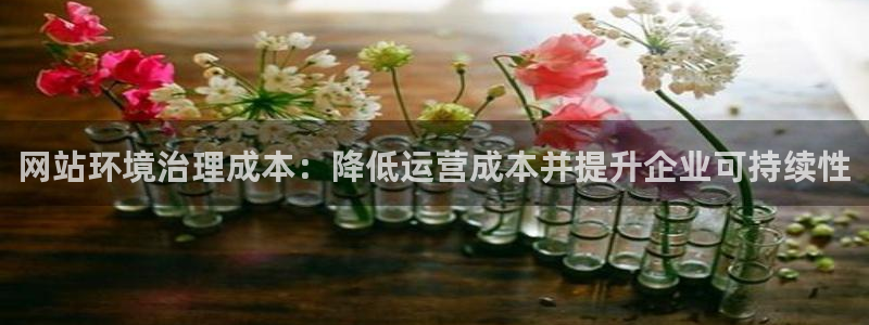 凯发官网入口首页：网站环境治理成本：降低运营成本并提升企业可持续性