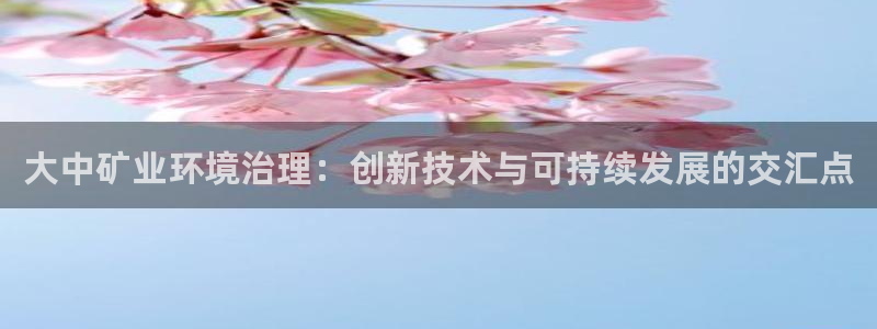 k8凯发国际官方入口|大中矿业环境治理：创新技术与可持续发展的交汇点