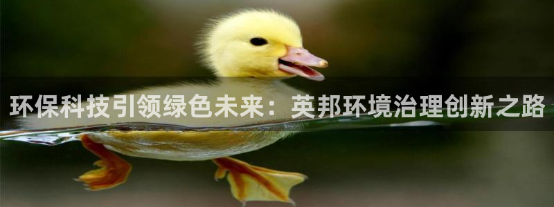 凯发k8国际首页登录|环保科技引领绿色未来：英邦环境治理创新之路