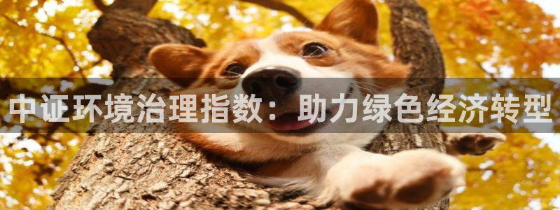 凯发国际官方网站|中证环境治理指数：助力绿色经济转型