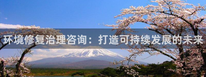 凯发k8网站是多少|环境修复治理咨询：打造可持续发展的未来