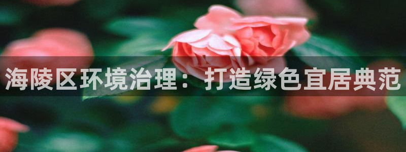 凯发k8一触即发|海陵区环境治理：打造绿色宜居典范
