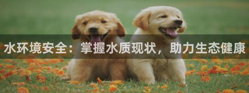 凯发k8全球最大的娱乐平台|水环境安全：