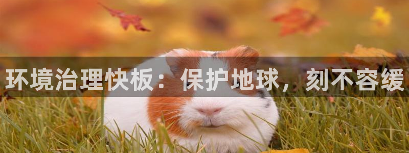 凯发k8官方旗舰店app|环境治理快板：保护地球，刻不容缓