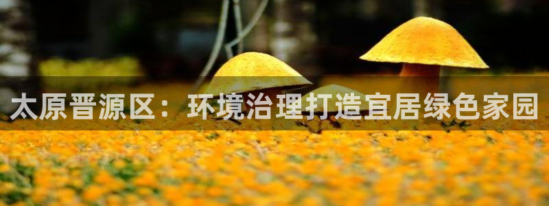 凯发官网首页|太原晋源区：环境治理打造宜
