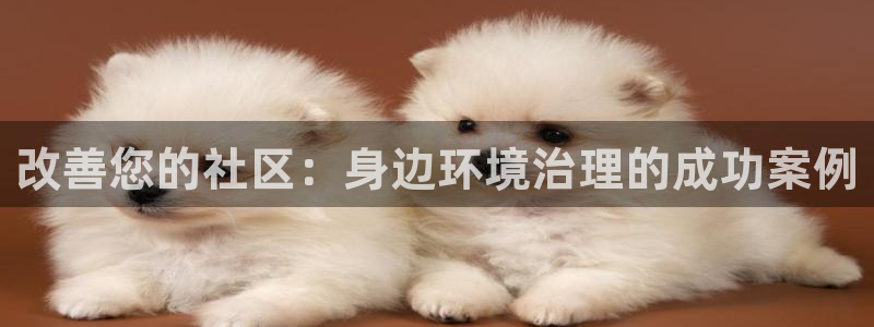凯发k8国际唯一|改善您的社区：身边环境治理的成功案例
