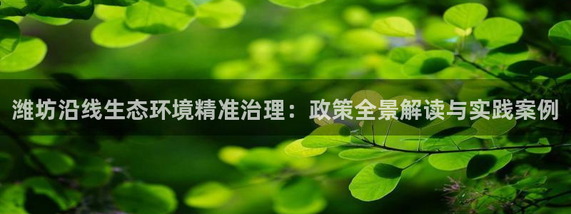 凯发k8国际首页登录|潍坊沿线生态环境精