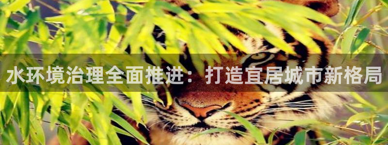 凯发k8娱乐官网手机端|水环境治理全面推进：打造宜居城市新格局